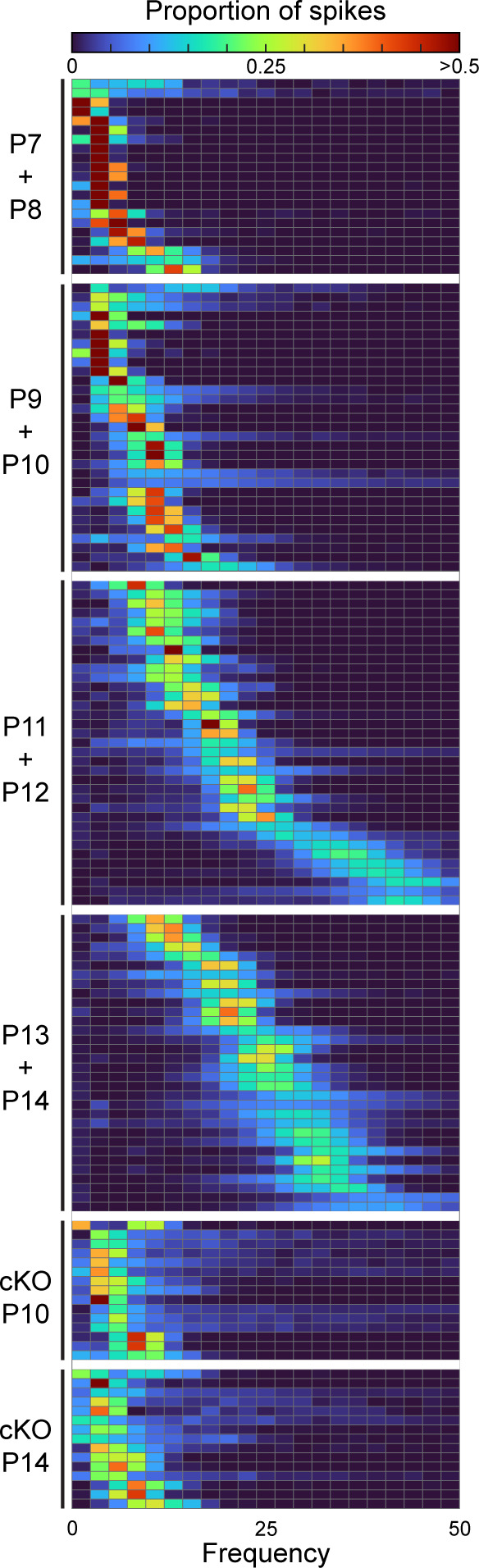 Figure 5—figure supplement 1.