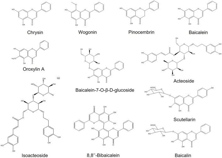 FIGURE 2