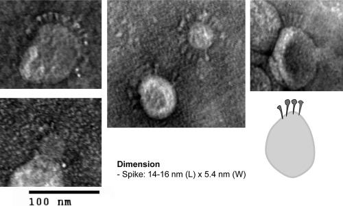 Fig. 8.