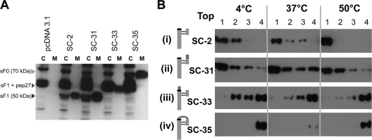 Fig. 9.