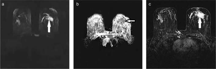 FIG. 5. a–c.