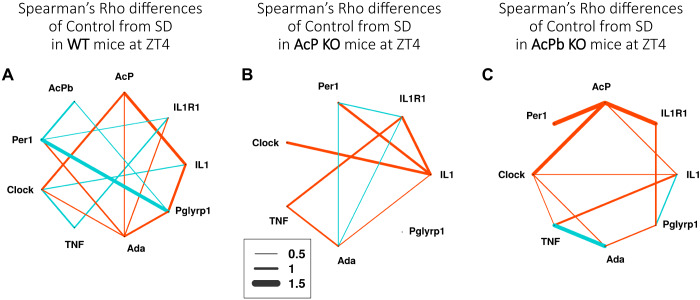 Fig. 9.