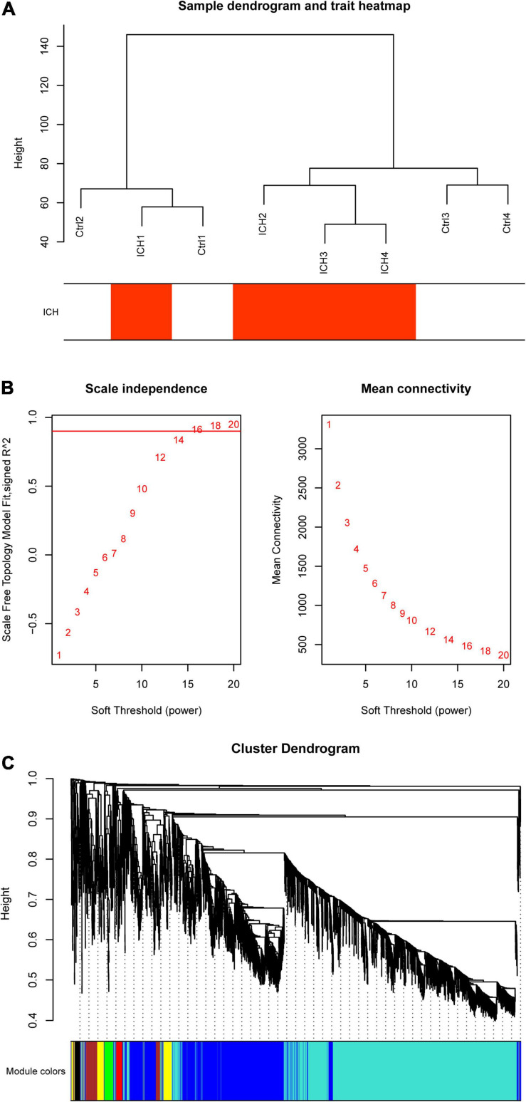 FIGURE 3