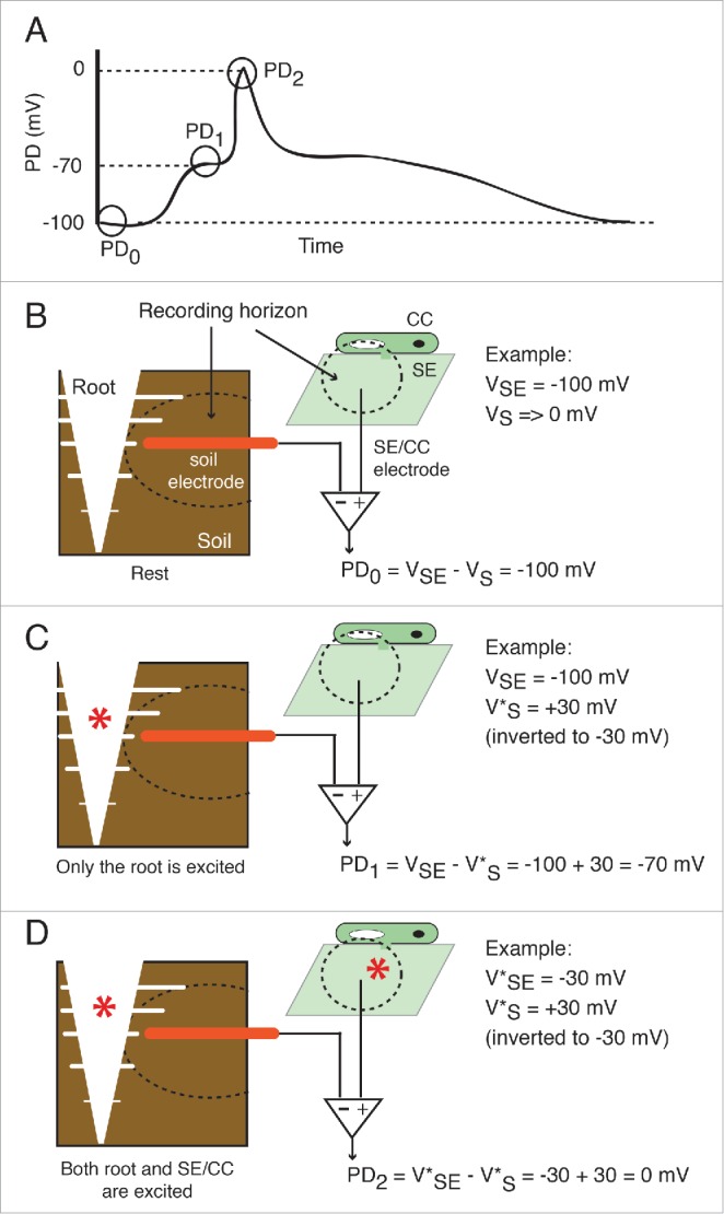 Figure 7.