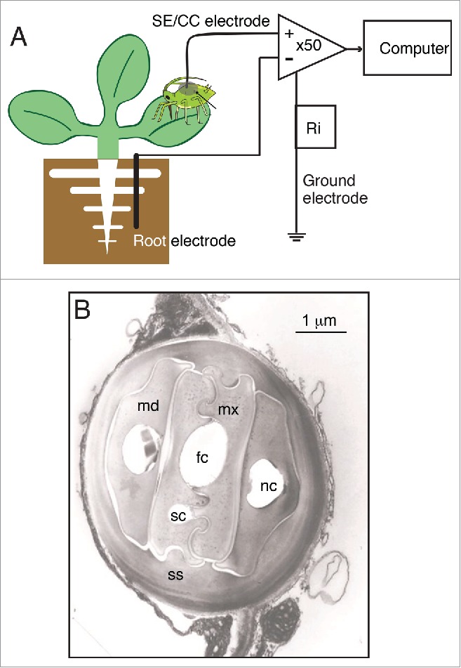 Figure 1.