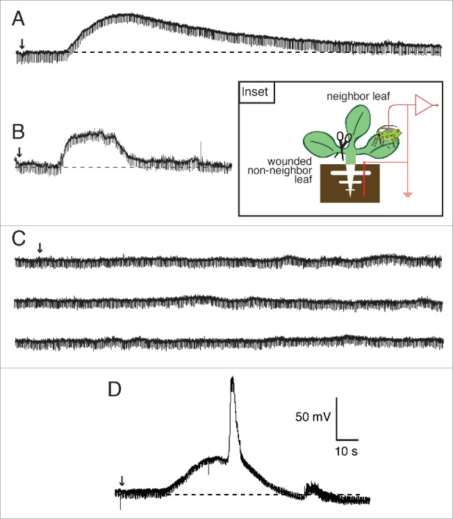 Figure 4.