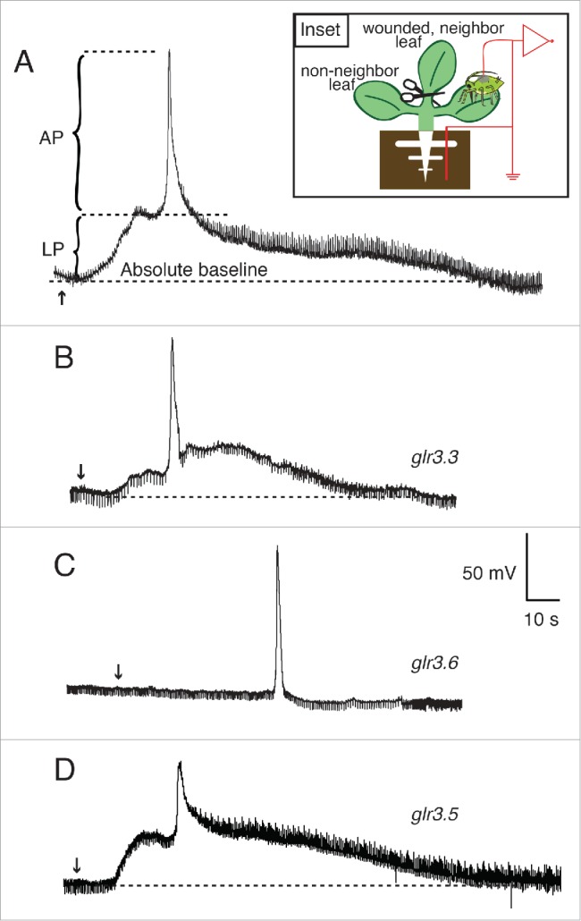 Figure 2.