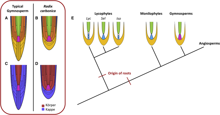 Figure 4