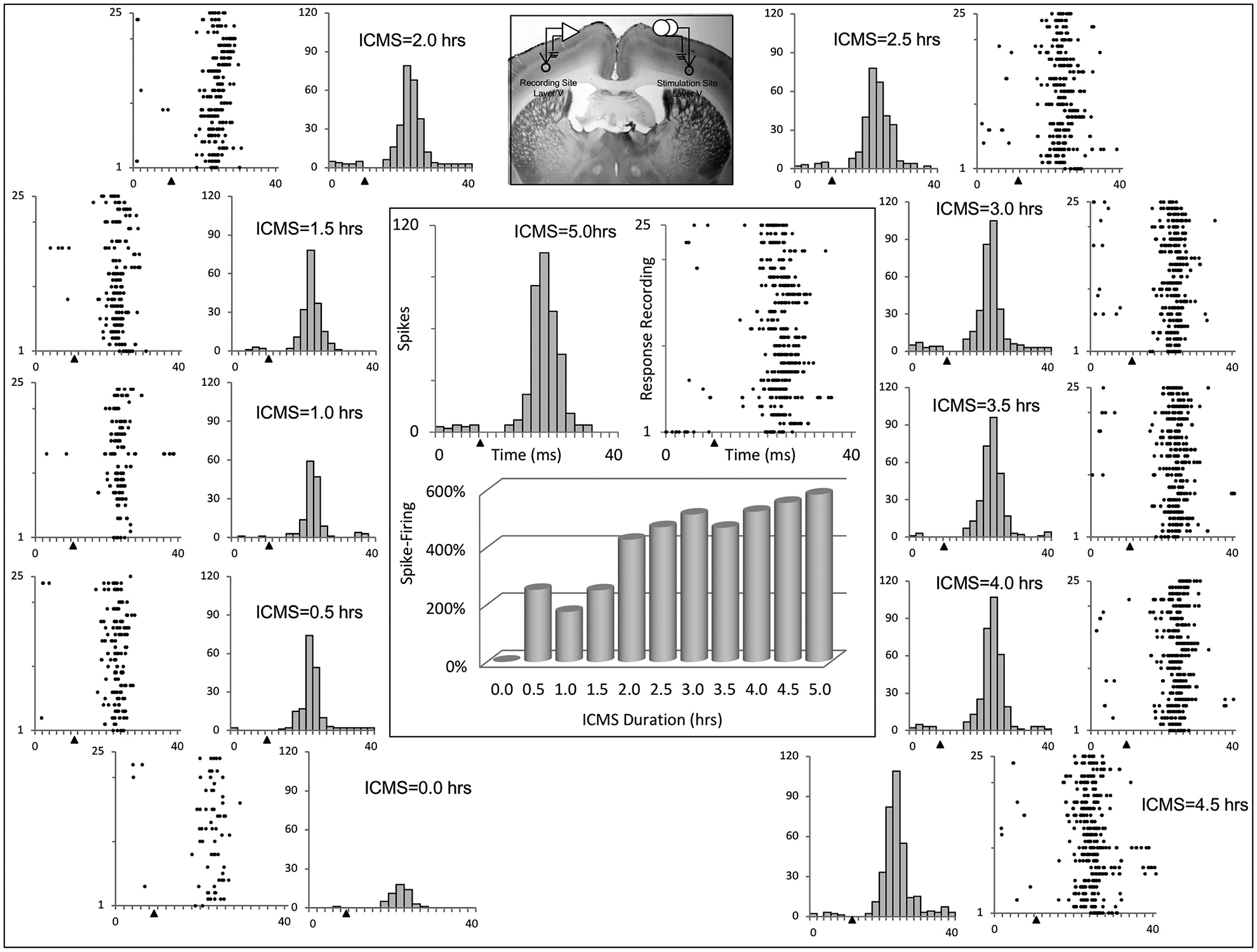 Fig. 3 –