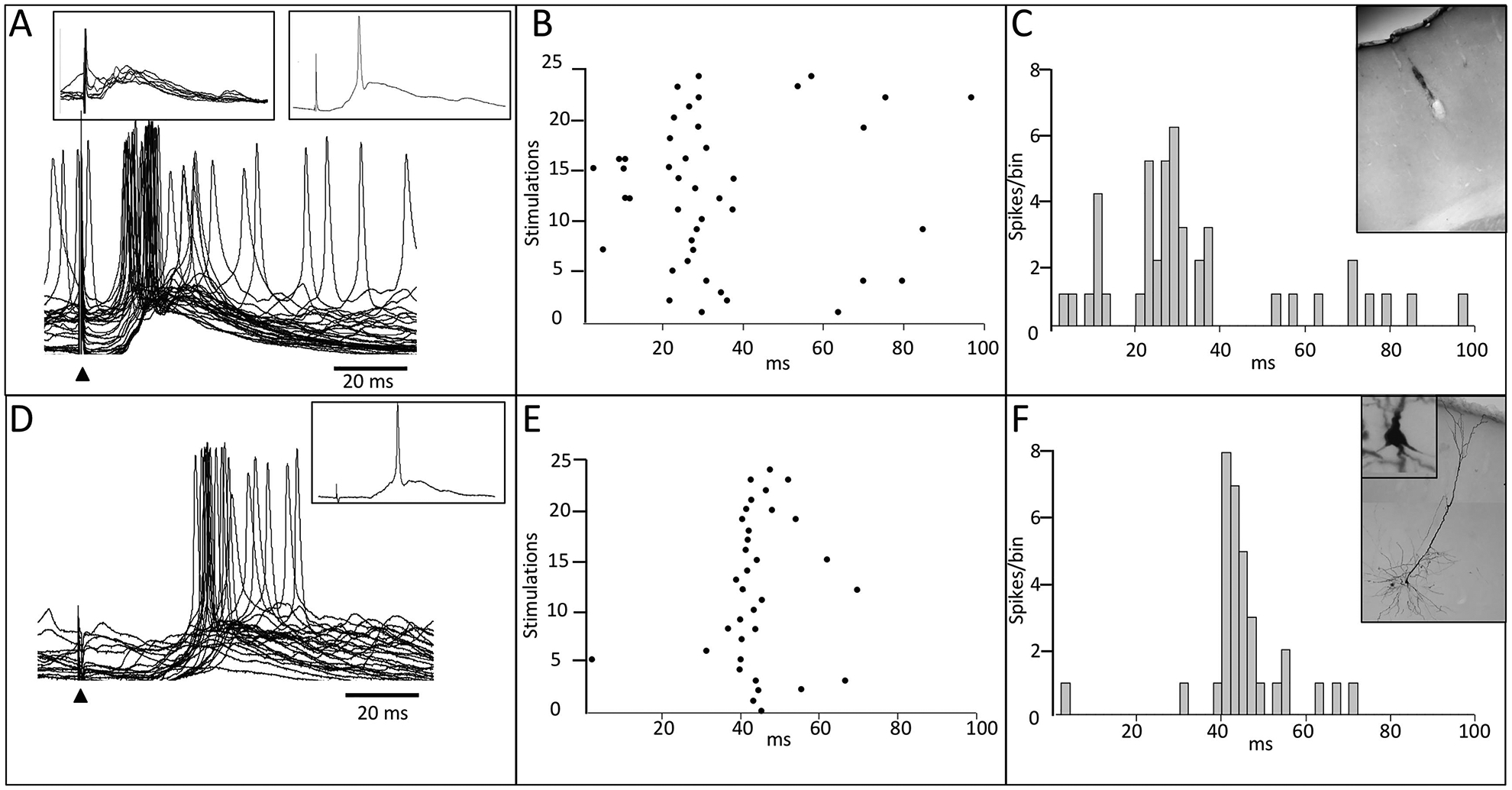 Fig. 7 –