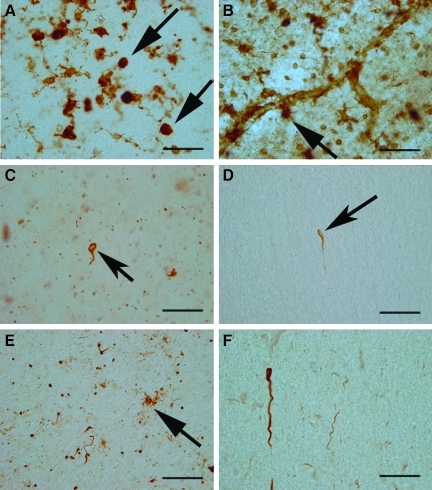 FIG. 8.