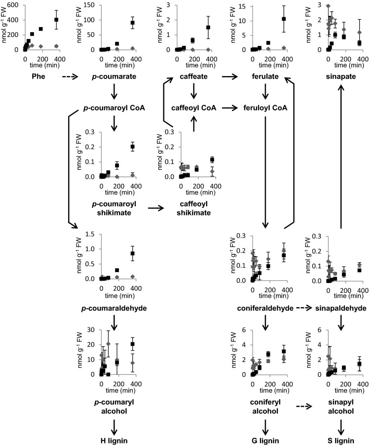 Fig. 6