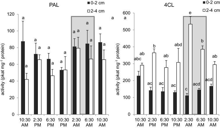 Fig. 4