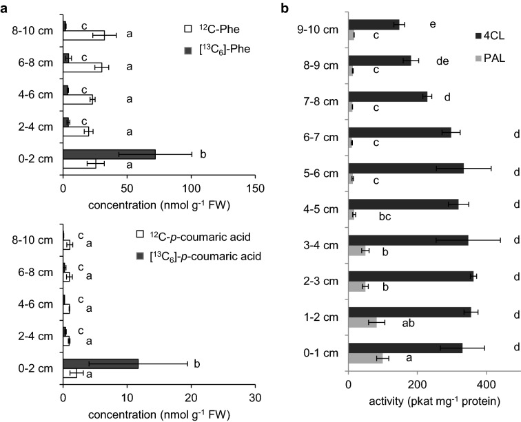 Fig. 3