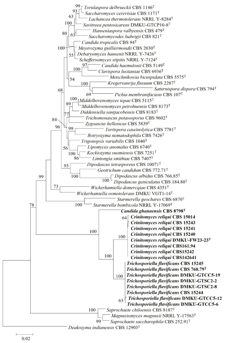 Figure 2