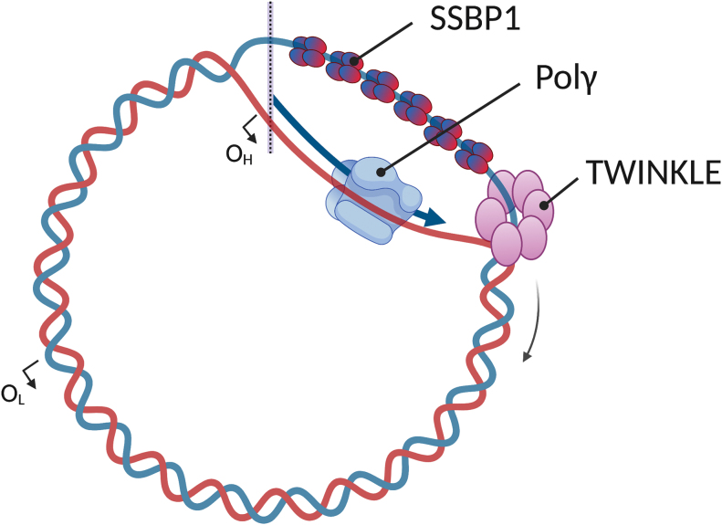 FIG. 1.