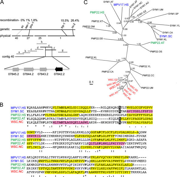 Figure 2.