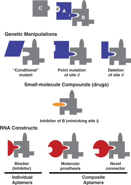 Figure 4.