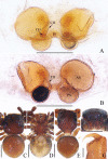 Figure 15.