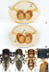 Figure 13.