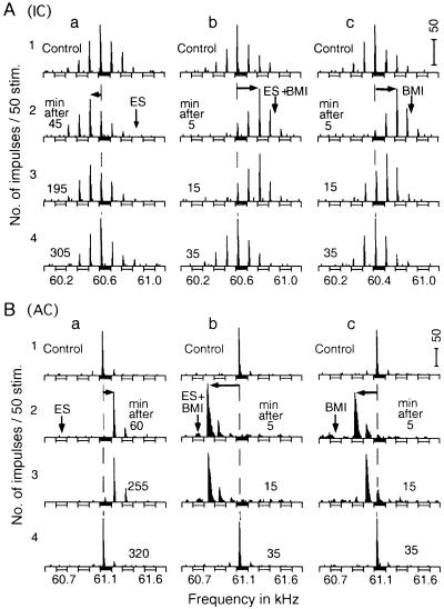 Fig 2.