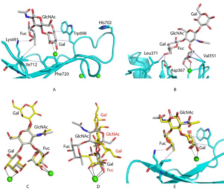 FIGURE 4