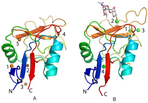 FIGURE 2