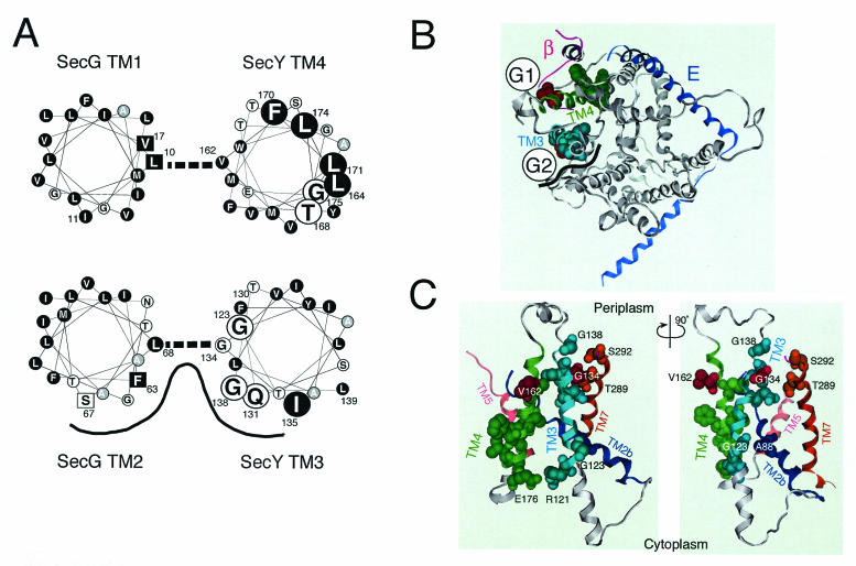 FIG. 6.