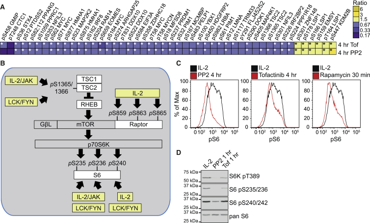 Figure 6