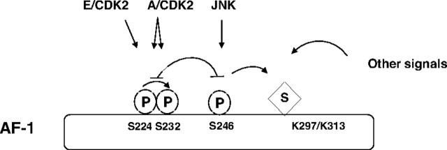 Fig. 8.