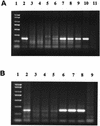 FIG. 5