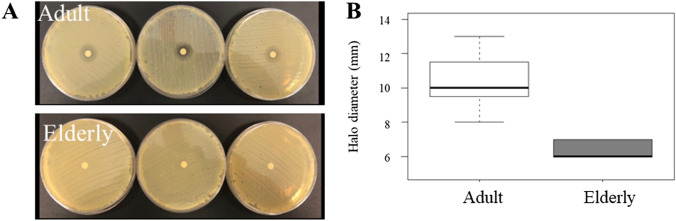 Fig. 2