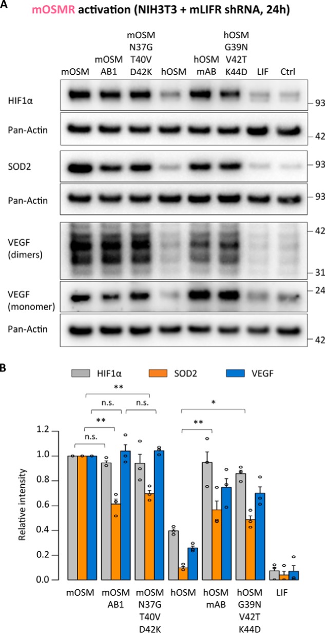 Figure 13.