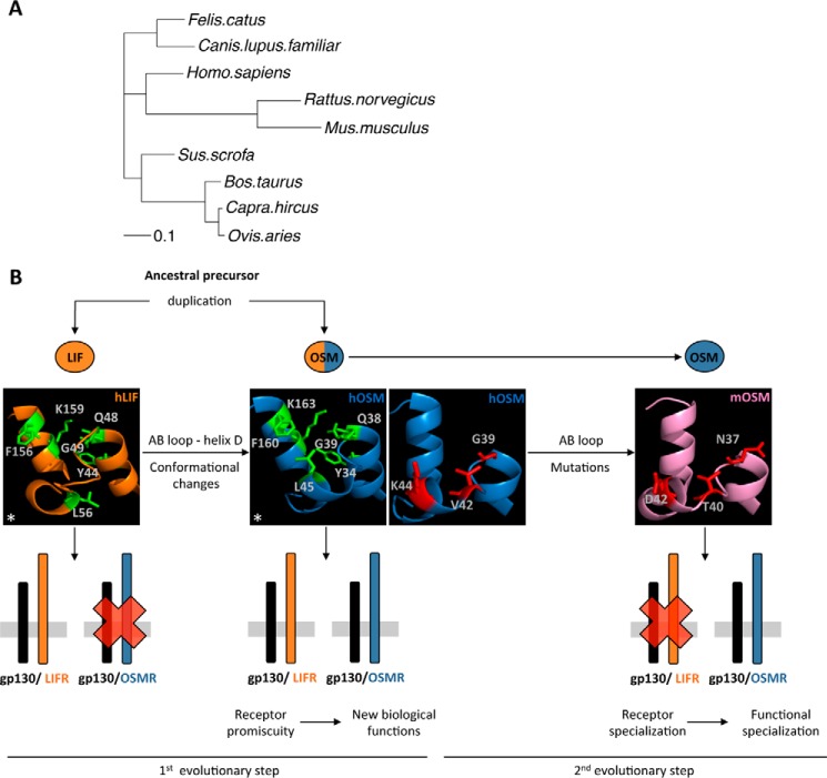 Figure 14.