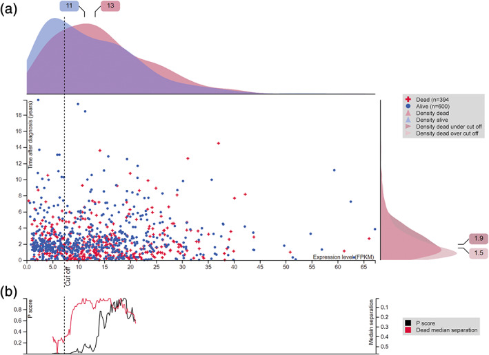 FIGURE 3