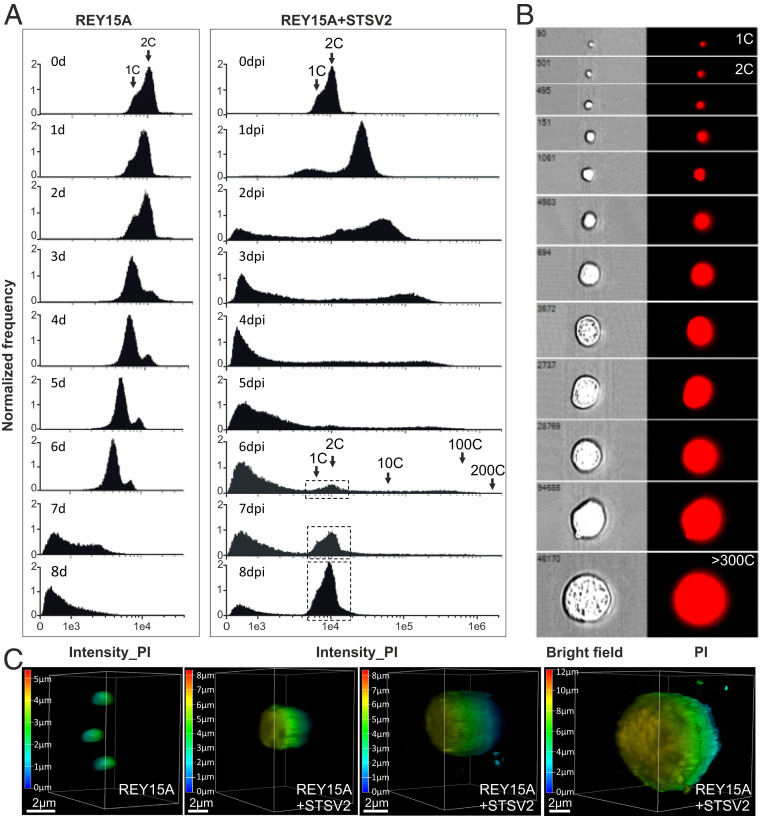 Fig. 2.