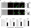 Figure 6—figure supplement 2.