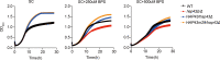 Figure 4—figure supplement 2.
