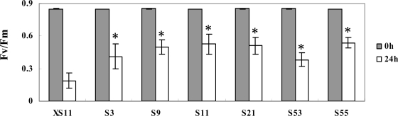 Figure 5.