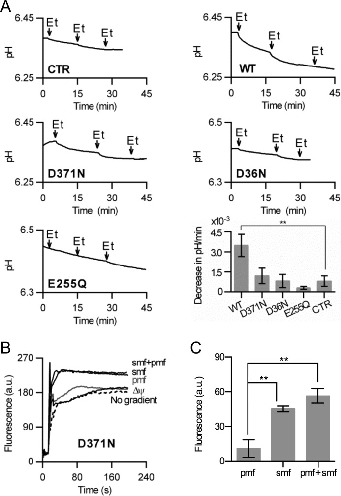 FIGURE 6.