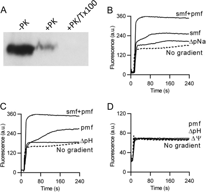 FIGURE 2.