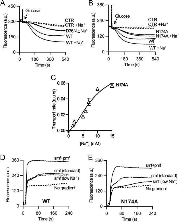 FIGURE 4.