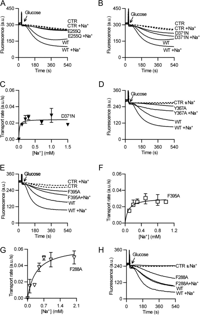 FIGURE 5.