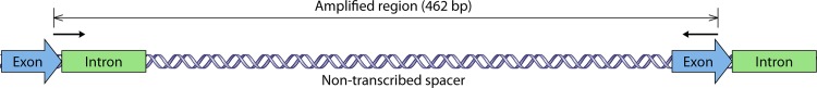 FIG 9