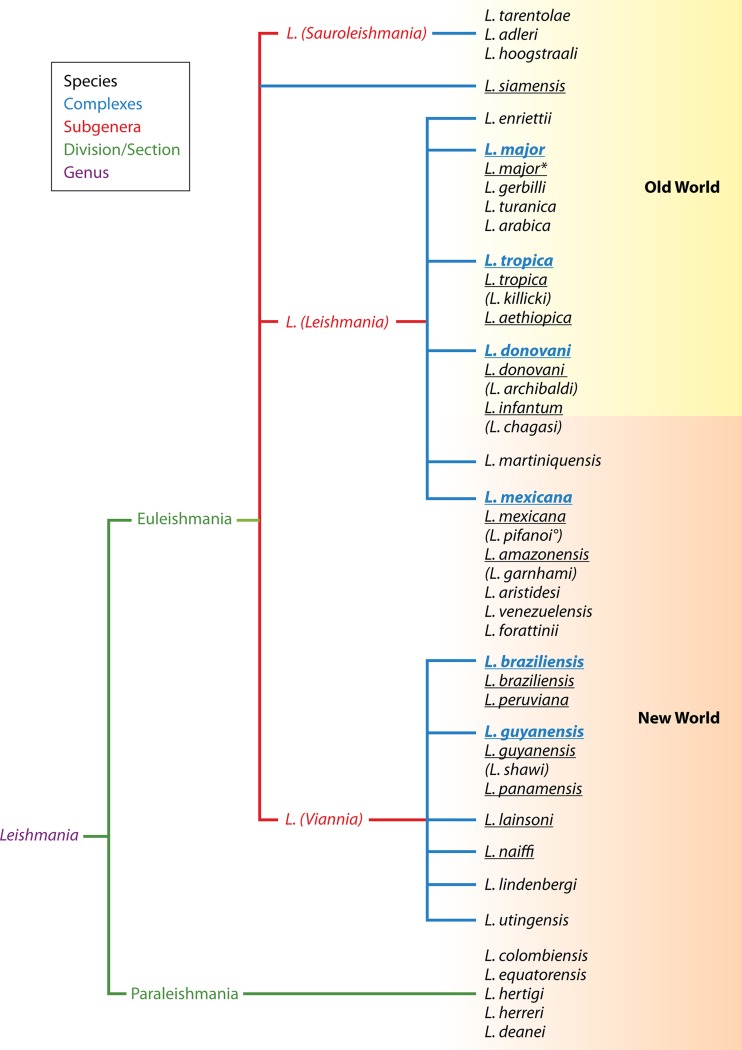 FIG 1