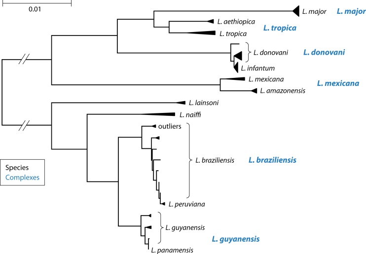 FIG 2