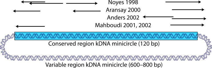 FIG 6