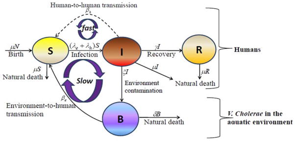 FIGURE 2