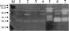 FIG. 5