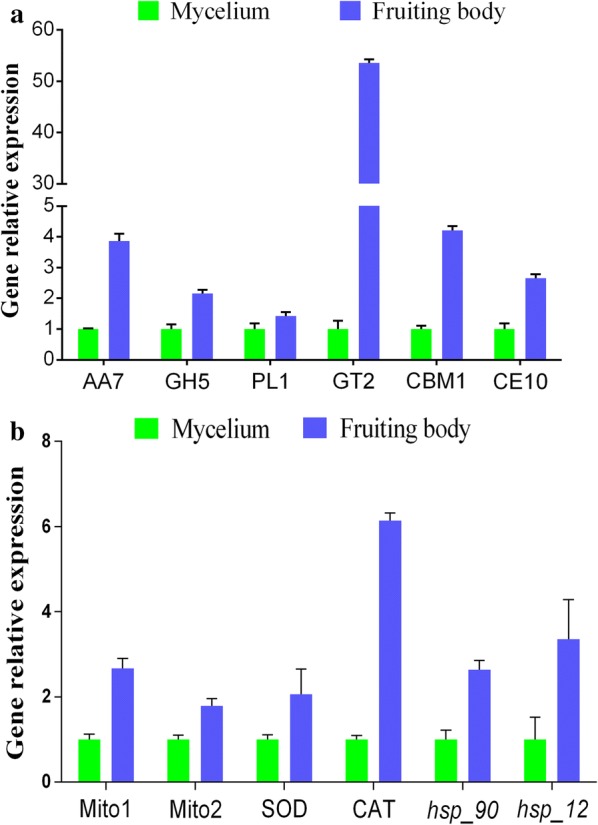 Fig. 4